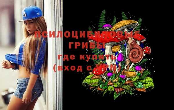 соль ск Аркадак