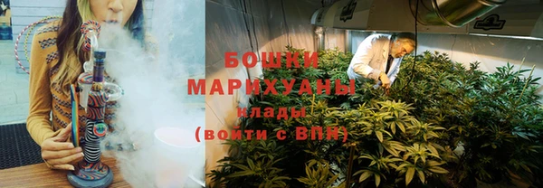спайс Арсеньев