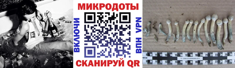 Псилоцибиновые грибы GOLDEN TEACHER  Строитель 